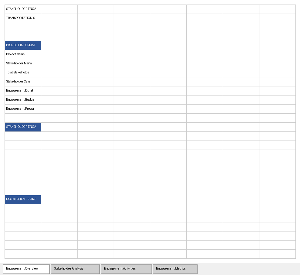 Stakeholder Engagement Plan preview